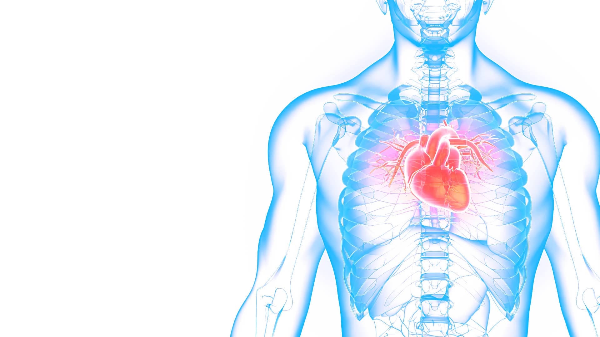 Advanced Cardiovascular Associates cardiology clinic