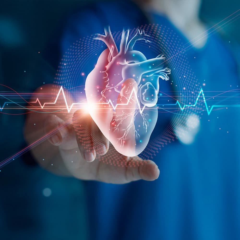 Heart Monitoring